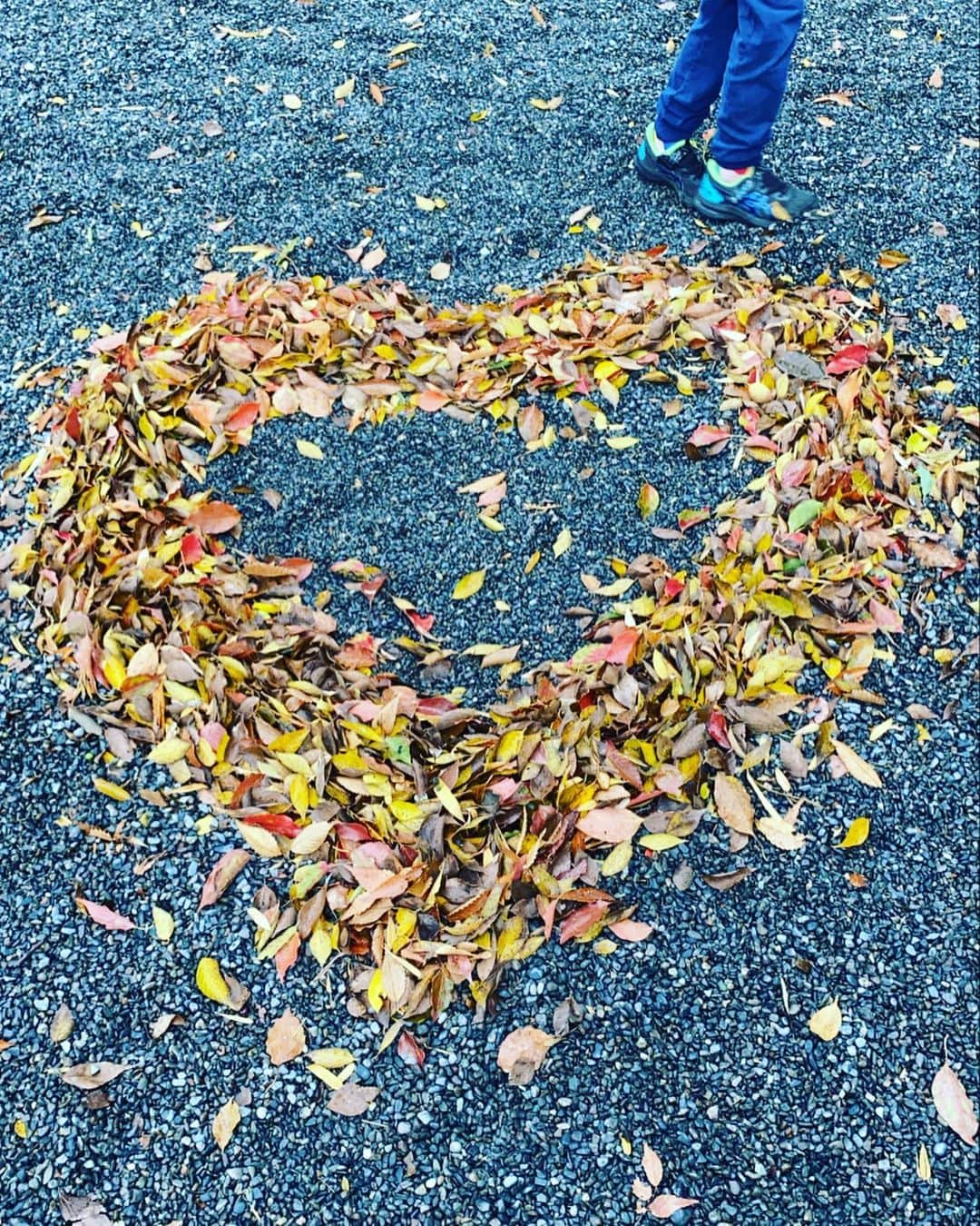 桃生亜希子さんのインスタグラム写真 - (桃生亜希子Instagram)「温泉の帰りに寄った来宮神社⛩。 　樹齢2000年以上という大楠に会いに行って来ました。 　落ち葉がハート型に集められていたり、蛇が祀られている池があったり、とてもユニークでパワーを感じる神社でした。🙏✨  #大楠　#来宮神社 #温泉旅行　#パワースポット #旅行 #trip #travel」11月21日 22時55分 - pinokosugar