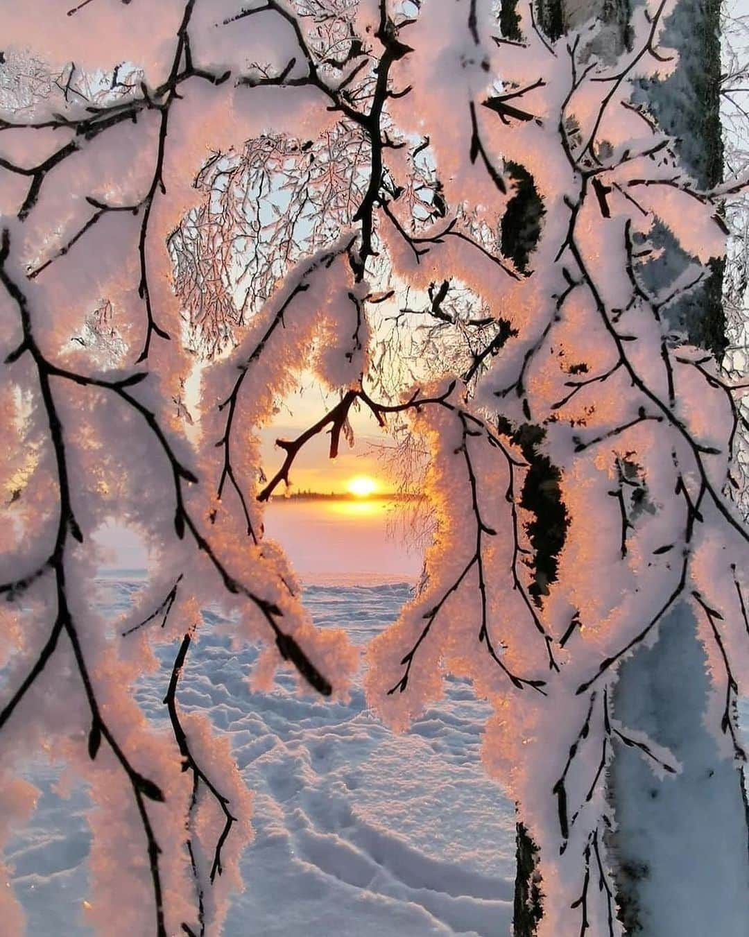 Canon Photographyさんのインスタグラム写真 - (Canon PhotographyInstagram)「Sunrise in Finland 🇫🇮 ❄️  Photography // @maritamattila Curated by @steffeneisenacher  #finland #lapland #snow #winter #hoarfrost」11月21日 22時58分 - cpcollectives