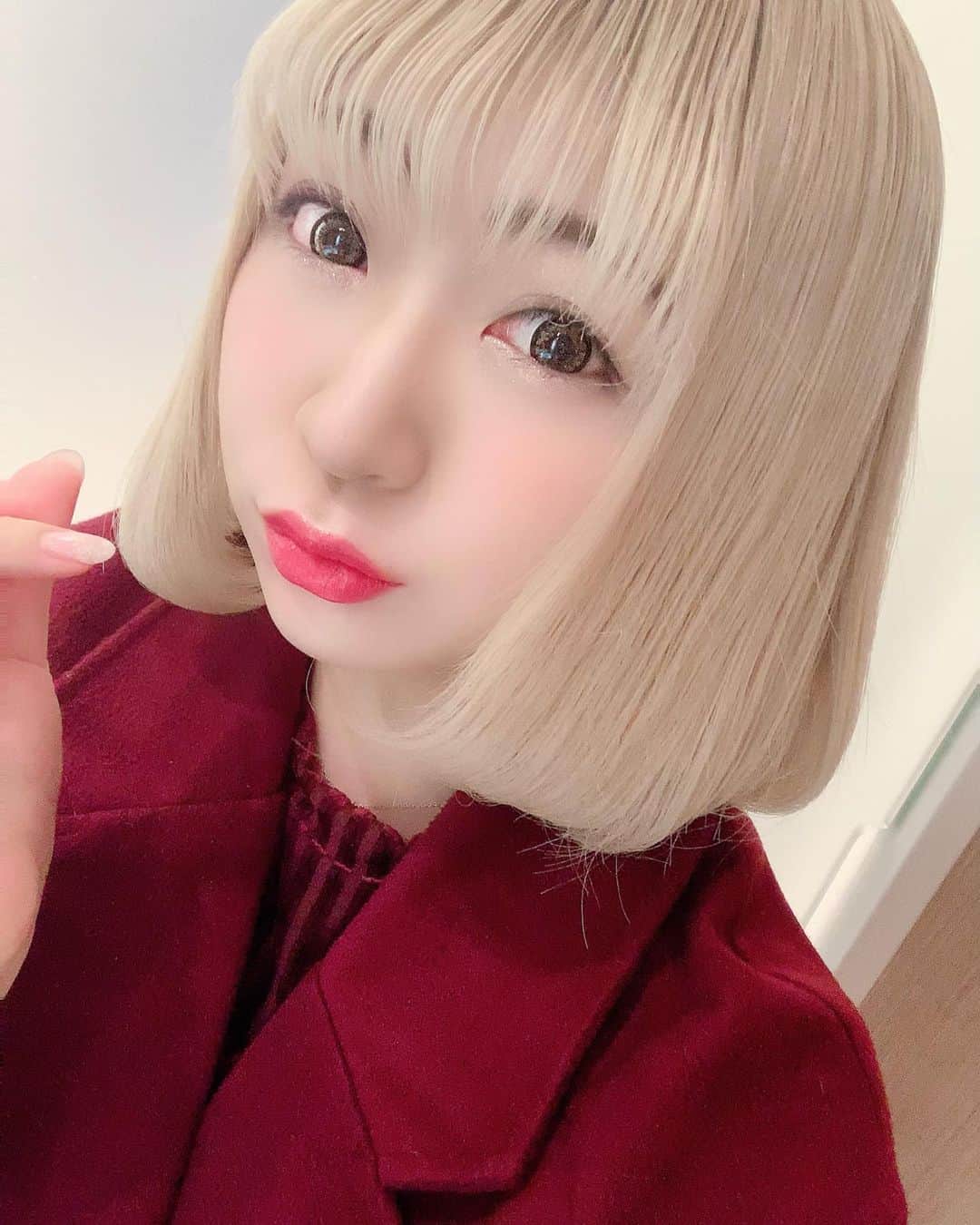 のインスタグラム：「♡ . . きゅんでぇす❤️ . ちてみたお🙆‍♀️ . . 皆ちゃまも きゅんきゅんちおっ(♡˙³˙)✨ . . . #われち語 #selfie #自撮り女子 #instaselfie #金髪ボブ #金髪 #ボブ女子 #金髪女子 #洋服好き #haircolor #instafashion #instamakeup #女子大生 #141 #instagood #followme #팔로우 #셀피 #셀스타그램 #Bordeaux #ボルドー #きゅんです #キュンです #韓国コスメ #instadaily #instagram #instapic #韓国好き #TikTok #blondehair」