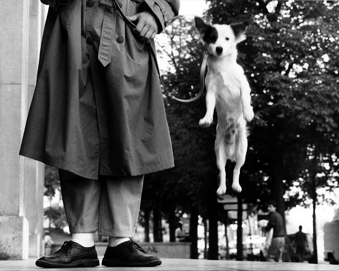 ダンヒルさんのインスタグラム写真 - (ダンヒルInstagram)「DUNHILL COMMUNITY: CURATED⁠ ELLIOTT ERWITT’S DOGS⁠ ⁠ “Dogs make easy, uncomplaining targets without the self-conscious hang-ups and possible objections of humans caught on film.” - Elliott Erwitt⁠ ⁠ The fourth instalment of our Curated project celebrates photographer Elliott Erwitt’s Dogs, a book that pays tribute to man’s best friend in a series of funny, instinctive and endearing shots. ⁠Follow the link in our bio for the full story.⁠ ⁠ Credit: Paris, France 1989 All photos courtesy of @magnumphotos and @elliotterwitt⁠ Book published by @teneuespublishing⁠ ⁠ #dunhillCOMMUNITY⁠ #dunhillCURATED⁠ #ElliottErwitt #Dogs」11月21日 23時01分 - dunhill