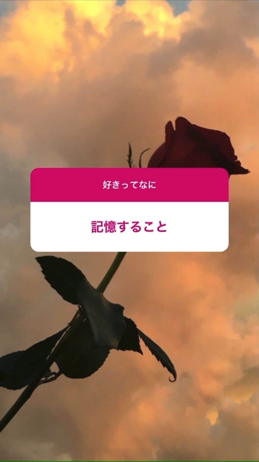 ハナエのインスタグラム