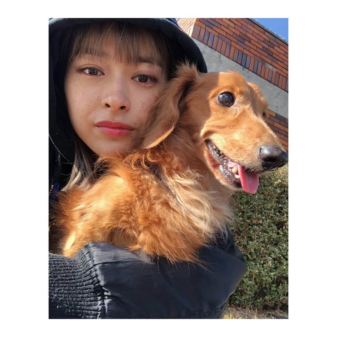 のインスタグラム：「むかしの写真🐶❤️🧡」