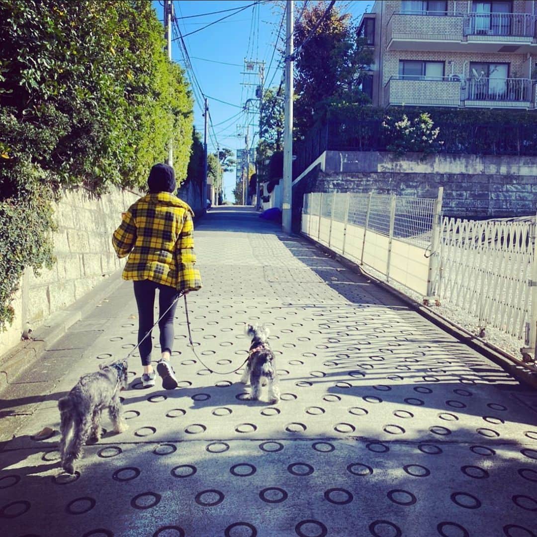 HiRAO INCさんのインスタグラム写真 - (HiRAO INCInstagram)「. リトルナップの絶品アップルパイを朝から食べたくて行ったけど、今日はパイはおやすみだった、、  スイートポテトのスコーンも美味しいよ。  ケイタマルヤマのダウン かわいいよね  tops @keitamaruyama_official  hat @helen_kaminski  レギンス　@lululemonjp  shoes @stellamccartney   #mutsulannsora」11月22日 10時26分 - kayokohirao