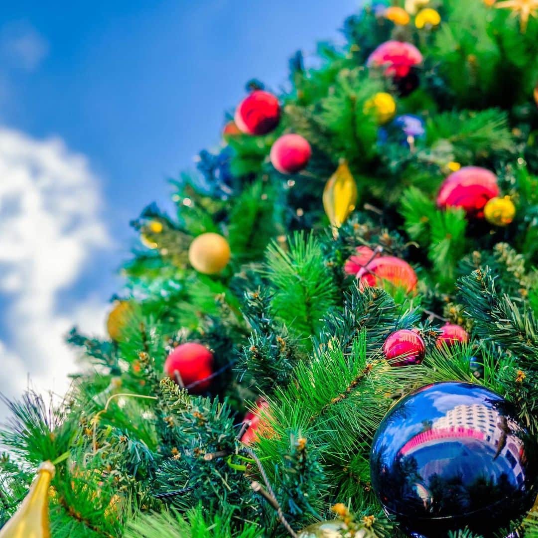 THE LUIGANS Spa&Resortのインスタグラム：「* 今年もプールサイドには 高さ5mのクリスマスツリーが 間もなくお目見えいたします。  #luigans #theluigans」