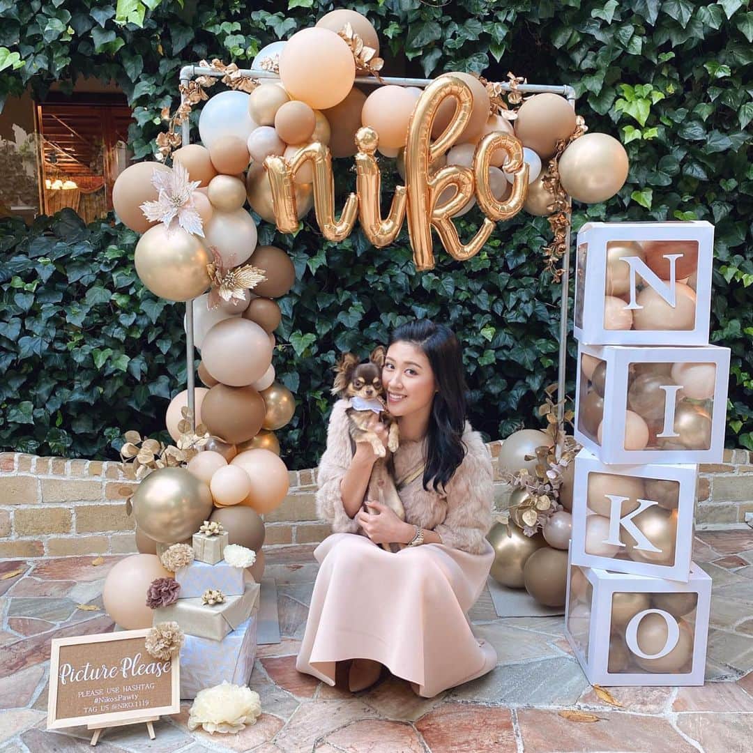 Rina Itagakiのインスタグラム：「Happy Birthday Niko🐶🤎 ニコの1歳のお誕生日会☺️ これからも毎日元気でいてね〜💫  #チワワ #チワワ部 #チワワ子犬 #愛犬 #チワスタグラム #ちわすたぐらむ #いぬすたぐらむ #イヌスタグラム #チョコタン #チョコタンチワワ #チワワlove #いぬのきもち #チワワのいる暮らし #chihuahua #chihuahualove #chihuahuastagram #doglover #party #partydecor #犬の誕生日 #パーティー #pawty」