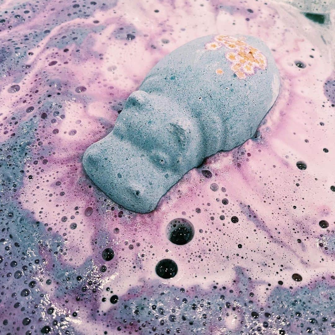 LUSH Cosmeticsさんのインスタグラム写真 - (LUSH CosmeticsInstagram)「Lush Newbie: An introduction 💜⁠ ⁠ ✔️ Also known as a "soon-to-be-Lushie"⁠ ✔️ While they're currently obsessed with I Want A Hippopotamus For Christmas, skincare is also a staple⁠ ✔️ Big fans of anything containing citrus (just like our little friend above 😉) or lavender⁠ ⁠ Know someone who fits the bill? Tag 'em below, check out our brand-new Instagram Guide and make shopping for them a dream this holiday season. ⁠ ⁠ Need more assistance? Head to our link in bio for tips on how to shop for everyone on your list.⁠ ⁠ 📸 @boble_bad」11月22日 1時30分 - lushcosmetics