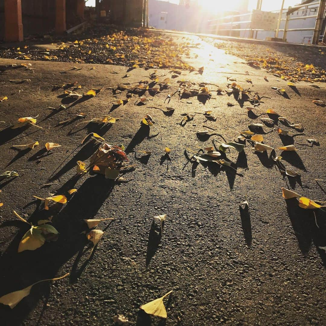 大湯みほさんのインスタグラム写真 - (大湯みほInstagram)「……… 今日、見た景色は🍂🍂✨✨✨ 全く同じ景色は、二度と見ることがないんだなぁ〜✨✨そんなことを思いながら👞👞👞✨✨神社でお参りもできたし、帰り道に寄り道も沢山出来たし、何気ないけど幸せな日♡」11月22日 1時36分 - nukazukemiho0320