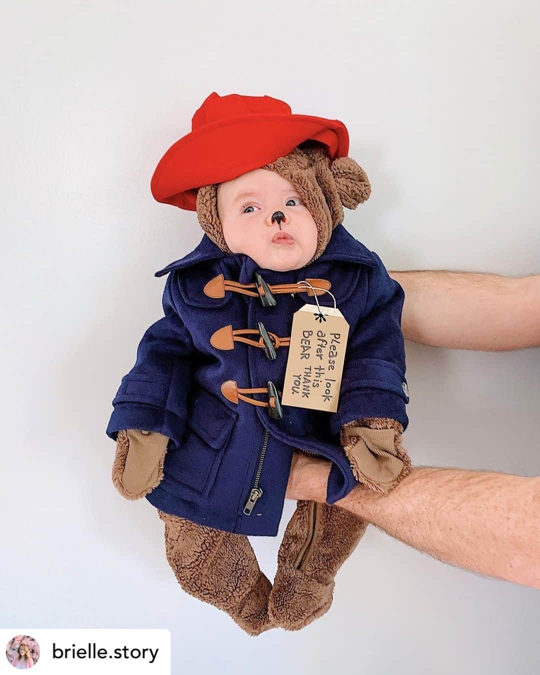 Paddington Bearさんのインスタグラム写真 - (Paddington BearInstagram)「We'd definitely look after this little cub, any day! 😍⁣ ⁣  📸 @brielle.story」11月22日 2時22分 - paddingtonbear