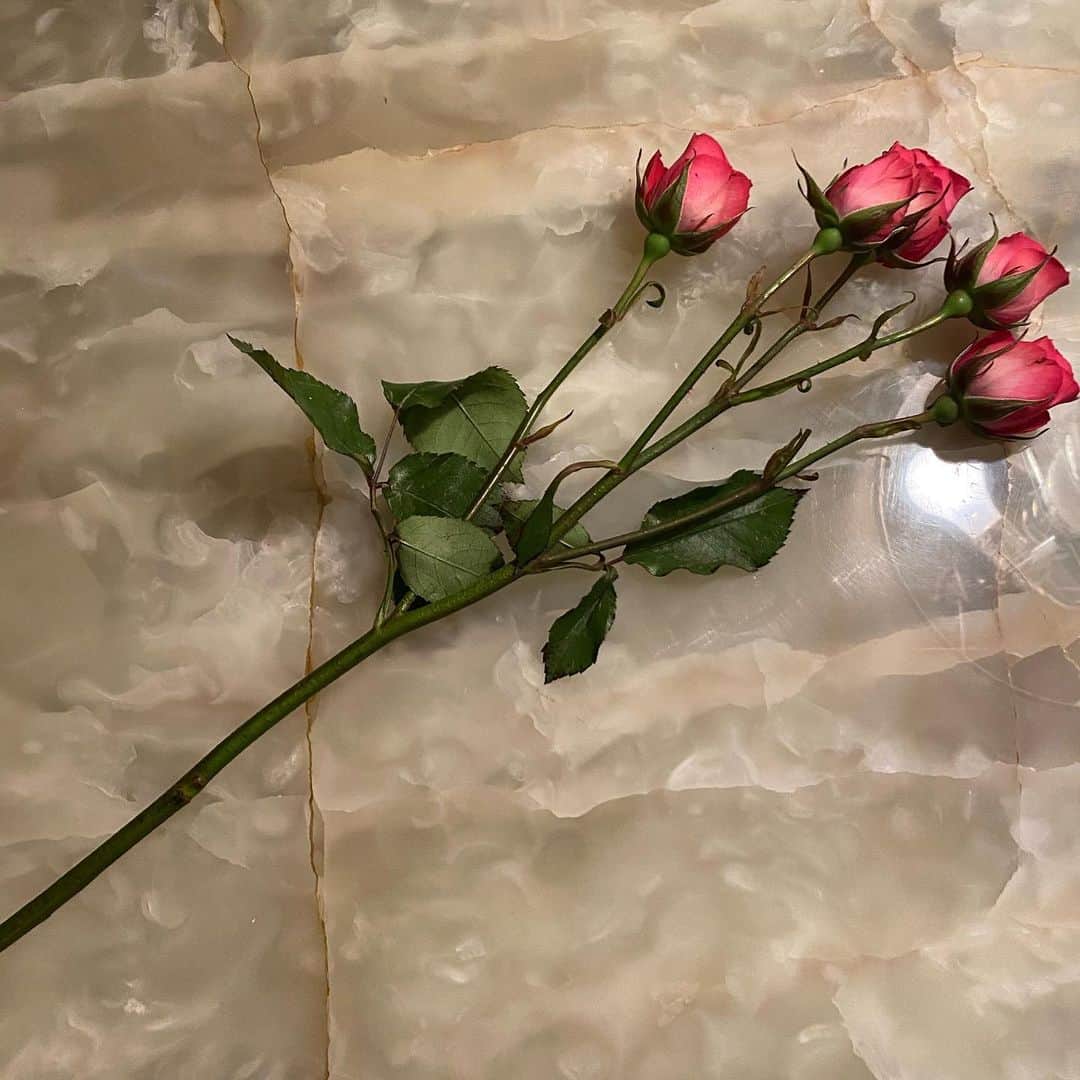 ルーシー・ヘイルのインスタグラム：「Happy day one of @hatinggamemovie Shortcakes🌹🥀 - grateful we could safely make this happen before the end of the year- here’s to Lucy Hutton,red lipstick, tweed, Joshua Templeman and a lot of sexual tension...like, a lot 🚻」