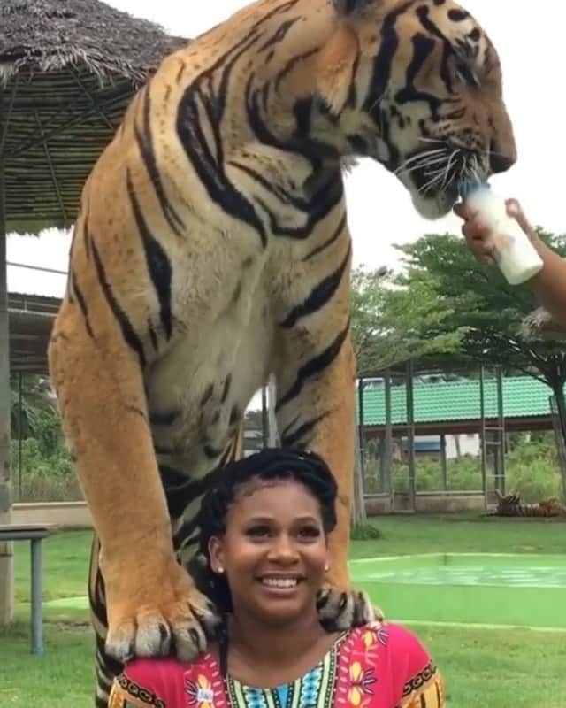 ファンクマスター・フレックスのインスタグラム：「Bruh? I’m not ok with this? Y’all ok with it?」