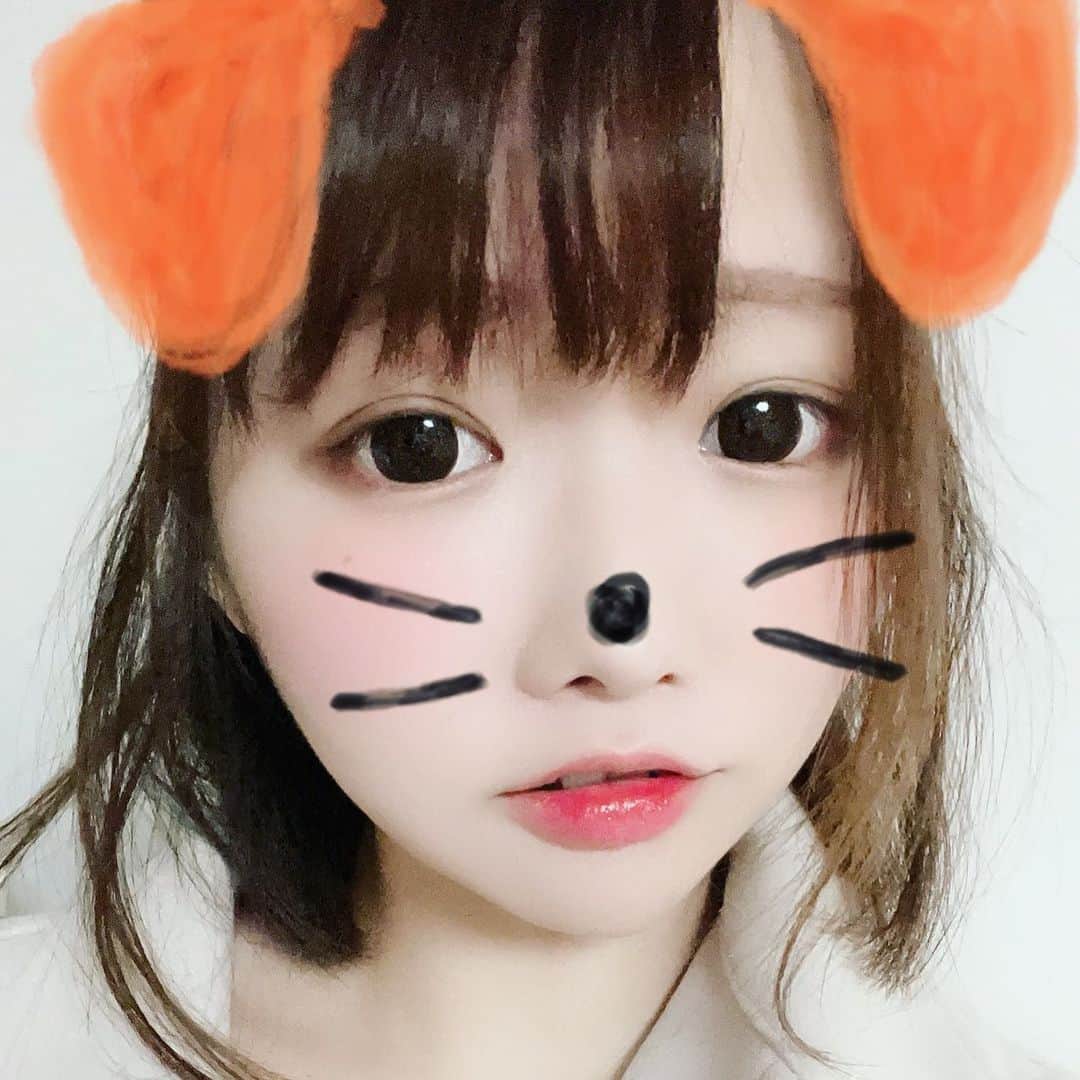 菅原千瑛のインスタグラム：「#🐶」