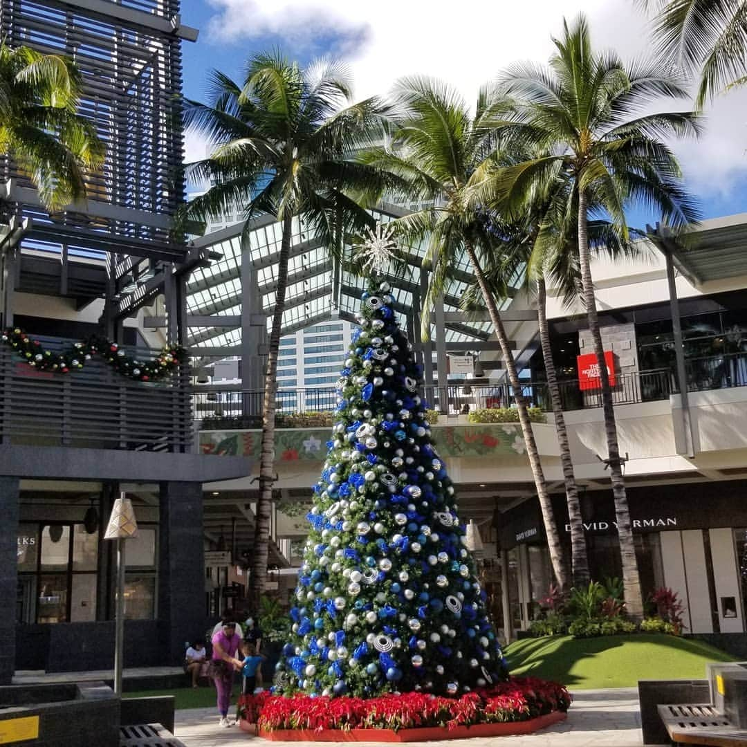 瀬川慶のインスタグラム：「Christmas tree @alamoanacenter アラモアナもクリスマスモード突入!  #hawaii #aloha #alamoanacenter #christmastree #tropicalchristmas #covid19hawaii #socialdistancing #oahu  #ハワイ　#アロハ　#コロナの影響　#コロナに負けるな　#ソーシャルディスタンス　#オアフ島 #アラモアナセンター　#クリスマスツリー #ハロウィンの名残あり　#観光再開　#14日隔離免除」