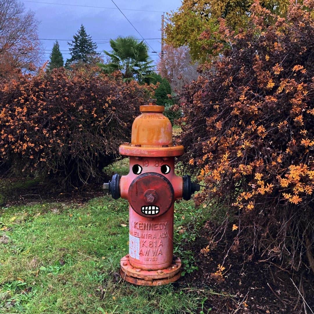 Jason G. Sturgillのインスタグラム：「Another new neighborhood friend.」