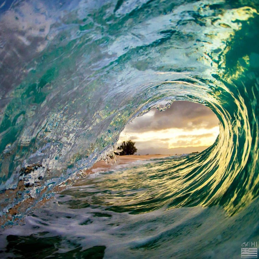 クラーク・リトルさんのインスタグラム写真 - (クラーク・リトルInstagram)「Yesterdays bowl 🌊💚🤙🏼 #shorebreak #clarklittle 🆑」11月22日 7時27分 - clarklittle