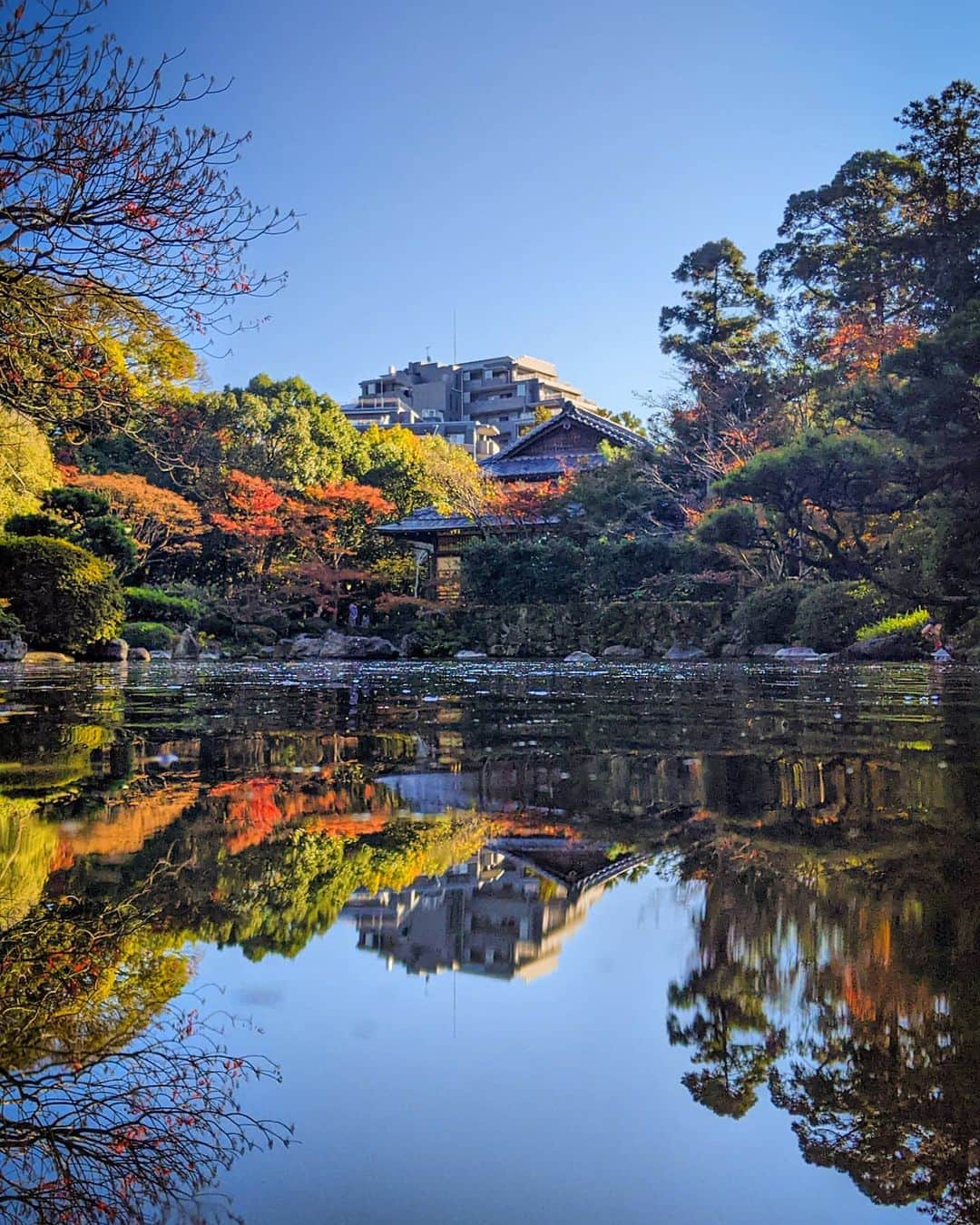 ミカエラ・ブレスウェートのグルメインスタ