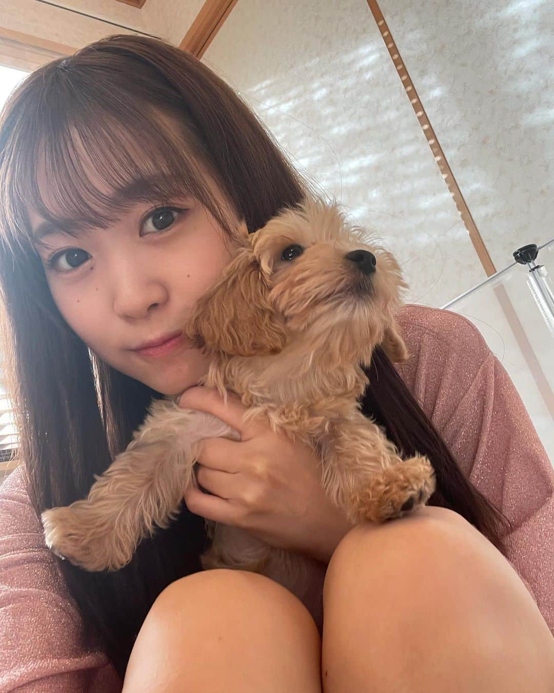 芹澤優のインスタグラム