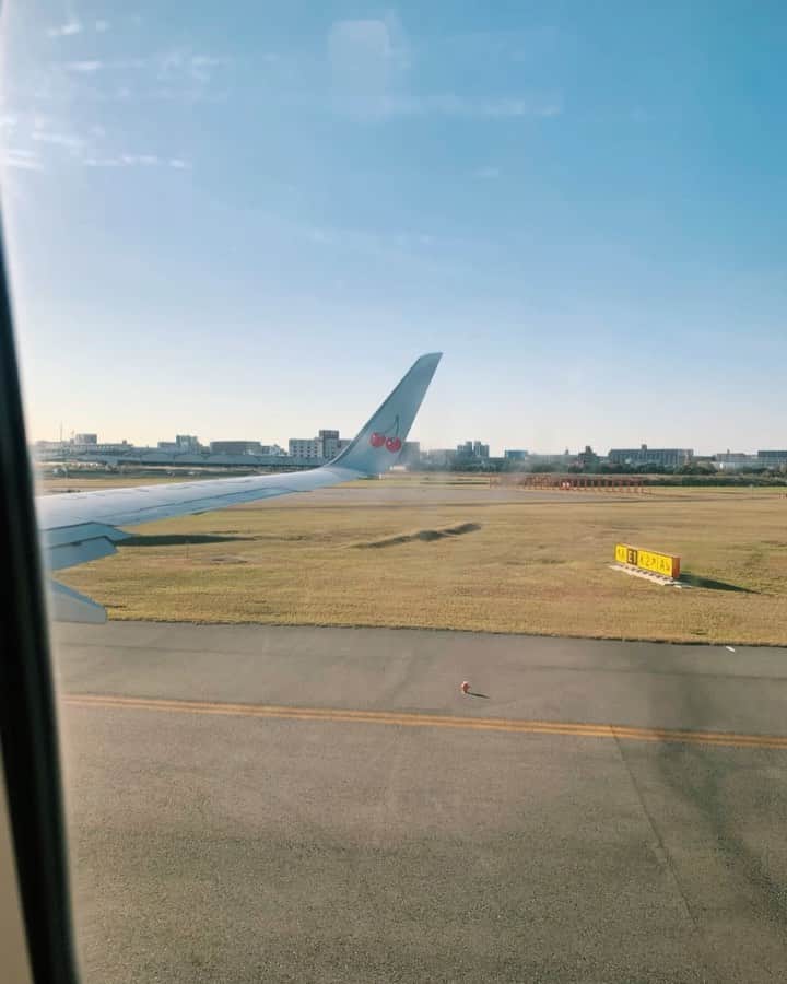 のインスタグラム：「見やればかはゆし。  #🍒 #skymark #airplane」