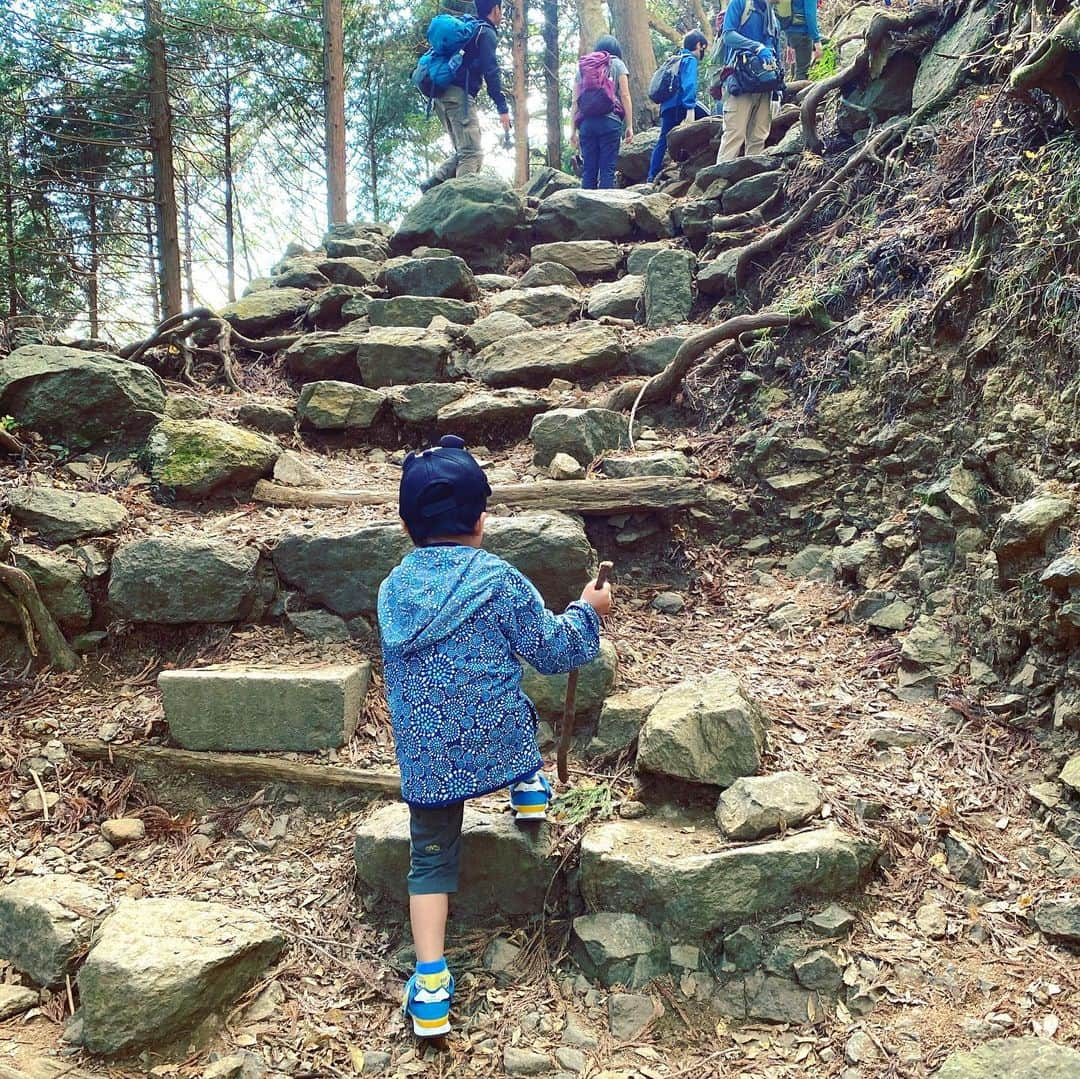 宋美玄さんのインスタグラム写真 - (宋美玄Instagram)「丹沢大山でラーくん登山デビューして来ました⛰意外にもノリノリで、疲れてからも文句ひとつ言わず登って下りて来れました。ミコたんに続き山的に将来有望です。 関西人的には「大山」は「だいせん」としか読まないという認識だったので、丹沢大山（たんざわおおやま）と呼ぶことにしました。ちなみに鳥取の大山も何度か登りましたが、めちゃくちゃ美しい山です。また行きたいなあ。 丹沢エリアは初めてでしたが、めっちゃいいとこじゃないですか。これまでロマンスカーで通過していましたが、またゆっくり登りたいです。今日は紅葉のせいかめっちゃくちゃ人出多かったです。アウトドアはどこも人気のようですよね。雪が降る前にもう一回くらい登りたいな… #丹沢 #丹沢大山 #だいせんではない #大山ケーブルカー #ラーくん #登山デビュー #めっちゃ混んでました #ロマンスカーEXE」11月22日 18時46分 - mihyonsongkobe