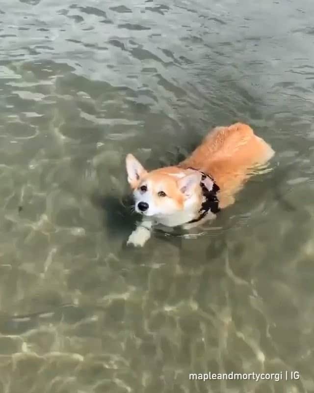 8crapのインスタグラム