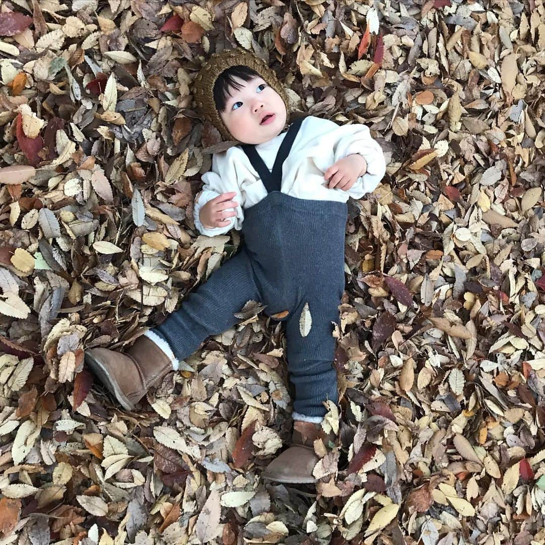 濱中鮎子のインスタグラム：「家を一歩出たら落ち葉のベッド🍂  躊躇なく寝転ぶお嬢🙃」