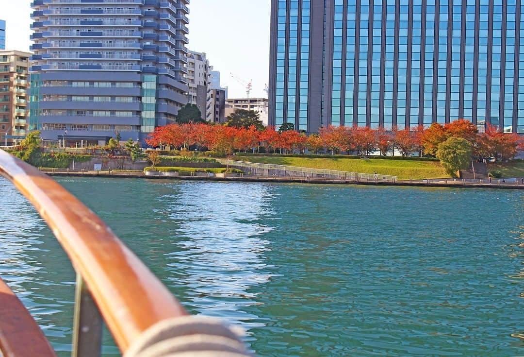 アニバーサリークルーズさんのインスタグラム写真 - (アニバーサリークルーズInstagram)「🍁  船から #紅葉狩り part2！  紅葉の赤と、運河の青が キレイなコントラストになっています(*^_^*)  #越中島 #東京散歩 #晴海運河 #運河クルーズ #貸切クルージング #日本の四季 #紅葉 #🍁 #🍂 #autumn #autumnleaves」11月22日 19時00分 - anniversary_cruise