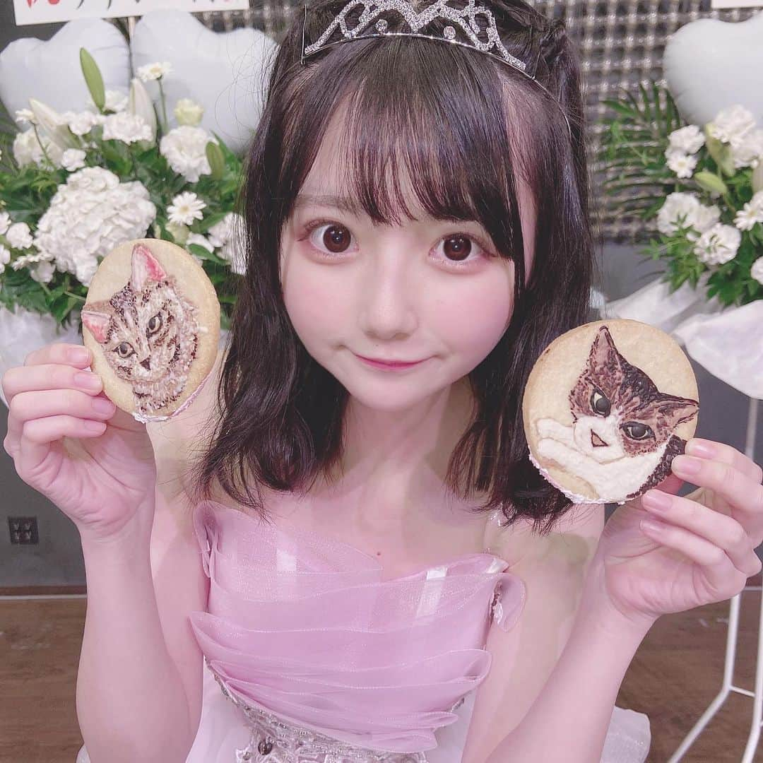 山本あこのインスタグラム：「ねこのがリアルでびっくりしたやつ」