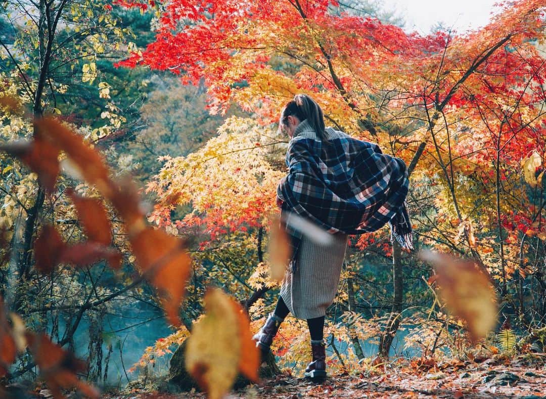yukiさんのインスタグラム写真 - (yukiInstagram)「・ ・ ・ Beautiful autumn days ・ ・ ◉NICOSTOPサイトにて記事公開中◉ https://nicostop.nikon-image.com/entry/technic/landscape-portrait/2020/10/16/1 ・ ・ ・ ◉sty830 base shop◉ https://sty830.base.shop/ ・ ・ ・ #五色沼 ＃福島」11月22日 19時18分 - sty830