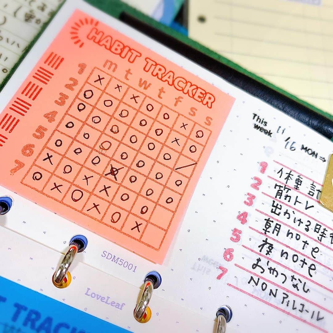 しあわせはんこさんのインスタグラム写真 - (しあわせはんこInstagram)「手帳タイム広げ放題。  SHIKIORIカートリッジインクの 利休茶がとても気に入って最近ずっと使ってました。あと2本使ってボトル買おうかそれとも別の色試そうかなぁ😊 と考えて楽しんでいます。  筋トレもチェックのおかげで 地味に続いています。 今までこんなに続いたことない。 朝にするのがやっぱりいいです。 夜はサボりたくなりがちだから。 ・ #手帳タイム　#システム手帳バイブルサイズ  #セーラー万年筆　#アシュフォードライフオーガナイザー  #プロッターm5  #ファイロファックスマルデン  #トラベラーズノートパスポートサイズ」11月22日 19時36分 - siawasehanko