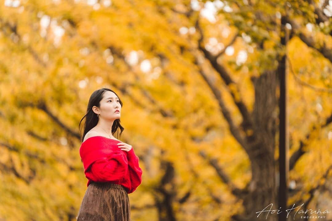 遥南碧のグルメインスタ