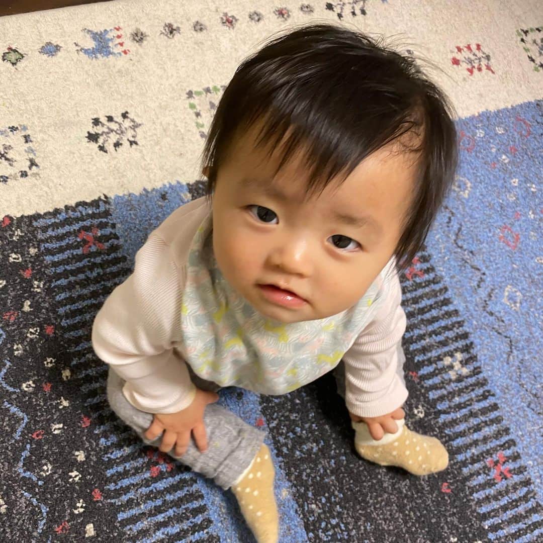 ゲッターズ飯田さんのインスタグラム写真 - (ゲッターズ飯田Instagram)「三女は元気に育ってます。」11月22日 10時56分 - iidanobutaka