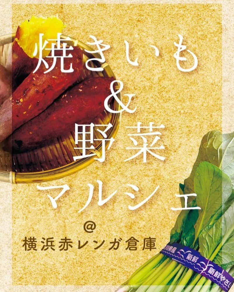 横浜赤レンガ倉庫さんのインスタグラム写真 - (横浜赤レンガ倉庫Instagram)「本日2日目！  　　　　🍠🥕🍅🌷🍠🥕🍅🌷🍠🥕🍅 　　　　　　【焼き芋＆野菜マルシェ】 　　　　🍠🥕🍅🌷🍠🥕🍅🌷🍠🥕🍅  横浜赤レンガ倉庫で、秋の味覚を楽しもう♪  産地や品種など、こだわりの詰まった焼き芋屋さんが イベント広場に登場！お好みの焼き芋を見つけてみて。  野菜マルシェには、農家さんが軽トラで登場し、旬な野菜や植物を販売いたします♪  【出店店舗一覧】 ■野菜マルシェ 　大森農園・Kururu farm・ながさわファーム・永島園芸  ■焼き芋 　えるろこ ロド芋・おいもやさんmoimoi・倉田屋・こふく屋・秘蜜な焼き芋・みなと屋  期間中、ランダムにお店が登場するのでどのお店に出会えるかはお楽しみ♪  開催日時 11月21日（土）～23日（月・祝）、 11月28日（土）～29日（日）の5日間  営業時間：11時～17時  ※雨天中止 ※内容は急遽変更となる可能性がございます ※最新情報は横浜赤レンガ倉庫公式Twitterよりお知らせいたします ※野菜マルシェについて ・土曜を除く3日間で開催 ・なくなり次第終了、不定期に実施 ・天候・収穫状況等により実施できない場合がございます」11月22日 11時16分 - yokohamaredbrick