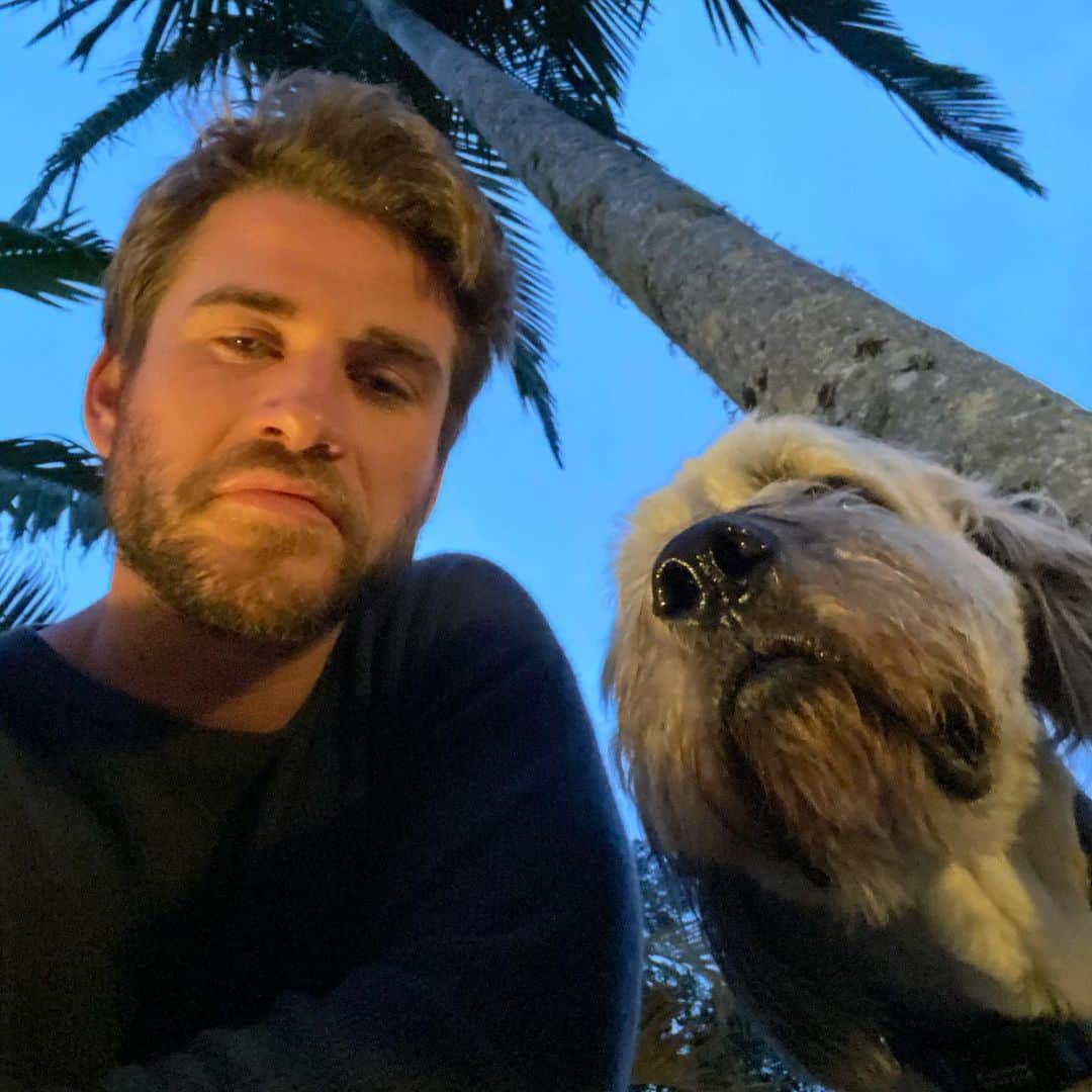 リアム・ヘムズワースのインスタグラム：「Staunch.」
