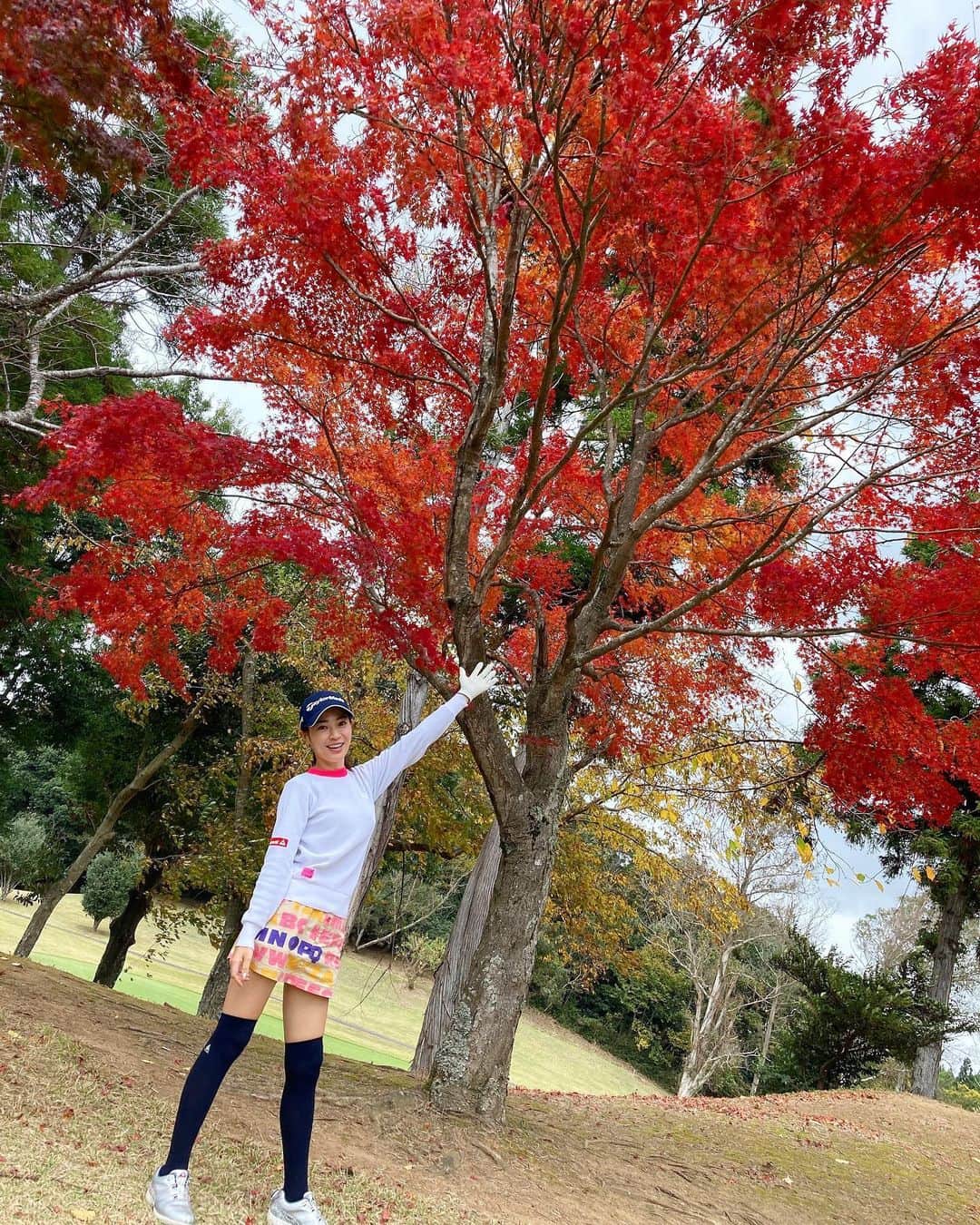 竹村真琴のグルメインスタ