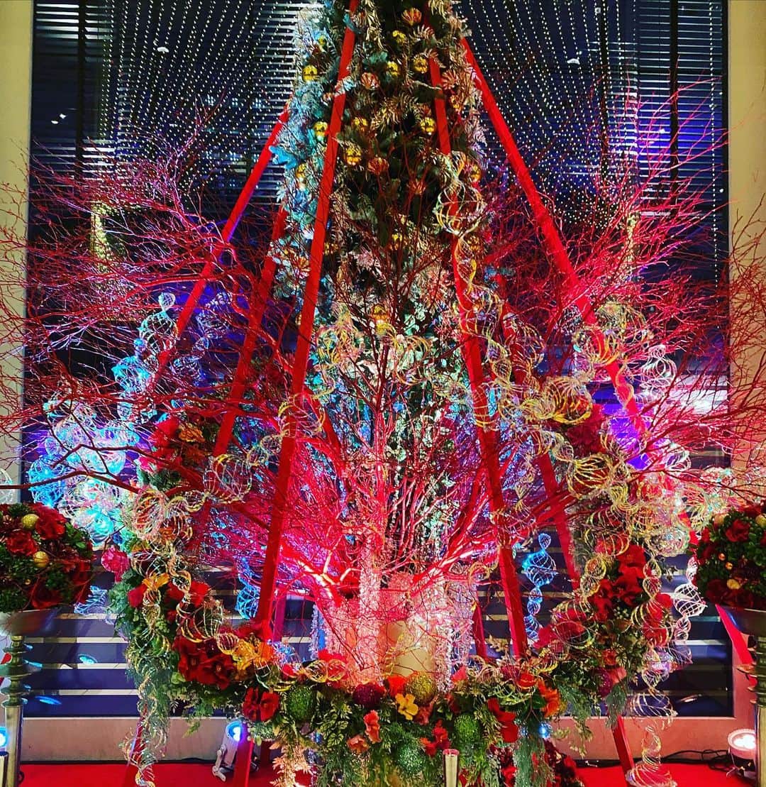 りんか社長のインスタグラム：「メリークリスマス〜✨ 🎁今年はサンタさんが来てくれる気がするなぁ💕☺️✨  #メリークリスマス  #メリクリ #christmas  #santacruz」