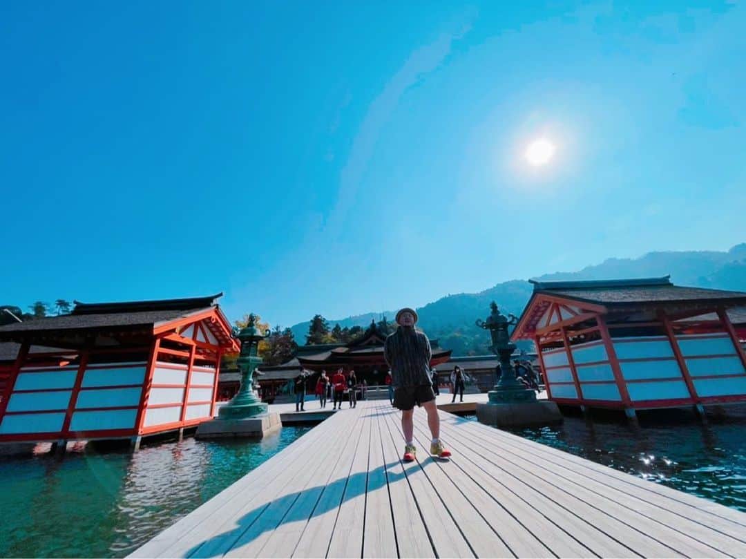 HIPPYのインスタグラム：「広島が誇る宮島 今、めっちゃ鮮やかです 歌でいうと大サビ突入な感じw  各地へなかなか行き来ができず もどかしい日々ですが  福山！廿日市！おりづるタワー！ 広島から全身全霊！ 歌をお届けさせていただくので 下記の生配信スケジュール ぜひともチェックしていただけたら嬉しいです  素敵な息抜きだったり燃料注入な時間に♪ なります♡  ———————————  11/22（日）20:00〜YouTube生配信 ［福山城幸盛ナイト オンラインde乾杯］  11/29（日）13:00〜YouTube生配信 ［はつかいち音楽フェス 〜オンラインフェス］  12/3（木）19:00〜YouTube［ひぴ動］生配信 ［HIROSHIMA 75TH PEACE LIVE］  HIPPYホームページ http://hippy-web.com」
