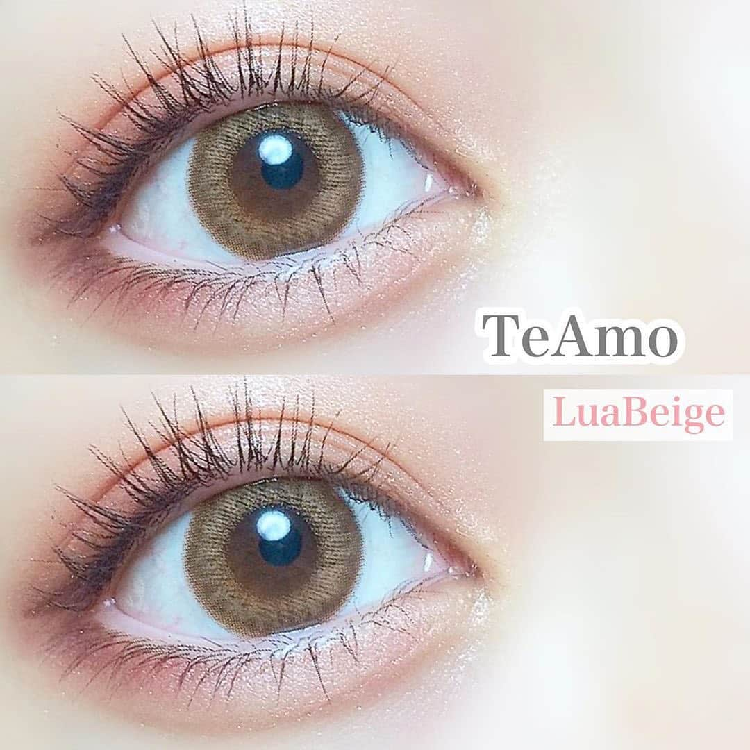 カラコンTeAmoさんのインスタグラム写真 - (カラコンTeAmoInstagram)「﻿ ﻿ #ルアベージュ﻿ ﻿ DIA:14.5mm﻿ BC:8.8mm﻿ 着色直径:13.7mm﻿ ﻿ 絶妙な3トーンがじゅわっと発色💡﻿ 薄いカラーだけど黒目の中の人でも﻿ 問題なく発色します🙈✨﻿ ﻿ 茶目の人が着用すると﻿ 色素薄い系の瞳になれそうな予感😍﻿ ﻿ 14.5mmでサイズは大きめですが﻿ 着用するとそんな大きくは感じず🤔﻿ 程よいサイズ感でナチュラルハーフに♪﻿ ﻿ @teamo_contact に貼ってあるURLから﻿ 着用動画も見れるので﻿ 是非チェックしてくださいね🥺❤﻿ ﻿ ﻿ #ティアコン #カラコンレビュー﻿ #カラコンレポ #アイメイク﻿ #カラコン #TeAmo #luabeige﻿ #カラーコンタクト #colorcontacts﻿ #カラコン通販 #カラコン着画﻿ #ティアモカラコン #カラコンティアモ﻿ #色素薄い系カラコン #ハーフメイク ﻿ #色素薄い系 #カラコンまとめ﻿ #ハーフメイク #ワンデー #ティアモ﻿ #ティアモワンデー #teamo1day﻿ ﻿ ﻿」11月22日 12時00分 - teamo_contact