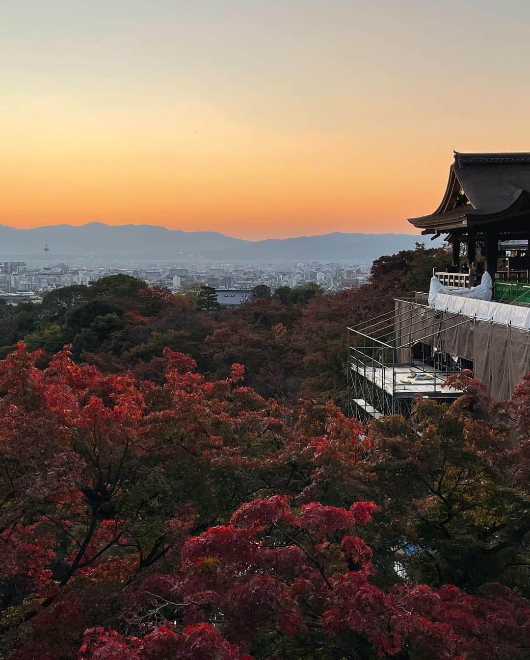 サキ吉さんのインスタグラム写真 - (サキ吉Instagram)「京都は一年に一回訪れてるんだけど、清水寺の修繕工事がどんどん終わってくのが感慨深い🤭💭 ． #京都 #kyoto  #京都観光 #京都旅行 #女子旅 #お着物 #着物コーディネート  #着物女子  #着物ヘア  #清水寺 #清水の舞台」11月22日 12時10分 - sakikichi1201