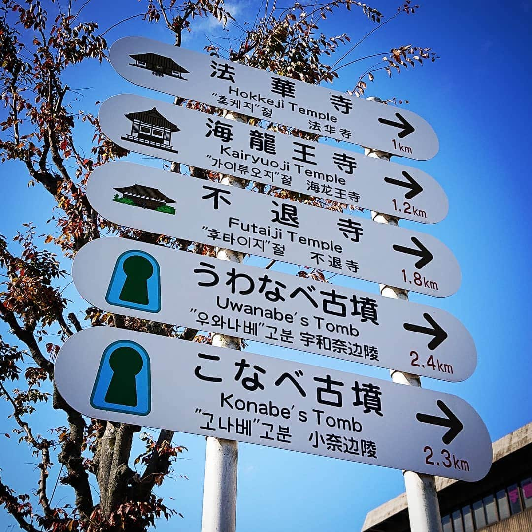 和田益典さんのインスタグラム写真 - (和田益典Instagram)「◆ 極私的 激熱 道標 . 奈良市役所の近くにて。 . . 有名な奈良公園や西の京からは少し離れてるけど、法華寺も海龍王寺も不退寺も実に素晴らしい古刹ですよ。 . 皆さんも一味違った大和路を求める際には是非どうぞ。 . 平城宮跡からやと近いですよ。 . 今日俺はこの後ウワナベ古墳ね。 . . . #ウワナベ古墳 #道標 #現地見学会 #奈良 #大和路 #いにしえの大和 #いにしえ #古墳 .」11月22日 12時50分 - masunori_wada