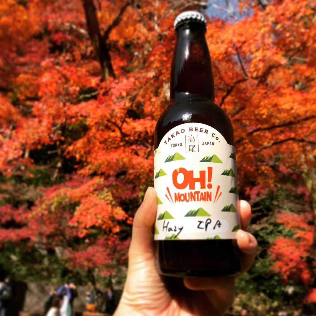 team_omotesandoのインスタグラム：「IPA @ Mt. Takao🍺  #mttakao #takaomountain #fallseason #littlehappiness #littleappreciationpost #littlethankyou #丁寧な暮らし #緑のある暮らし #高尾山紅葉 #ipa」