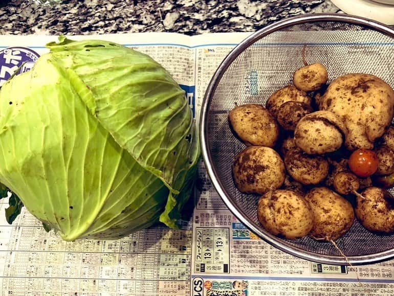 サイプレス上野さんのインスタグラム写真 - (サイプレス上野Instagram)「芋野朗による芋作り🥔#ドリーム農園」11月22日 13時20分 - resort_lover