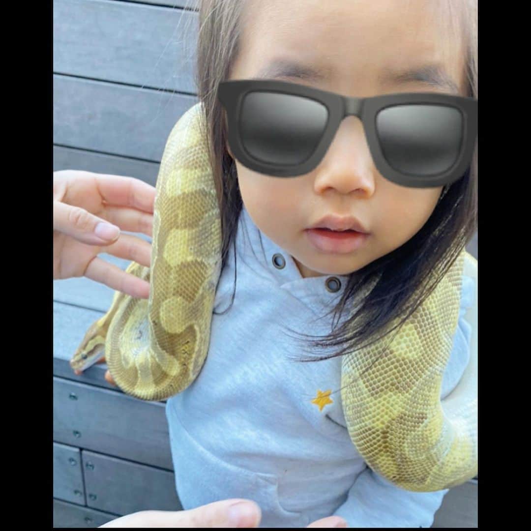 中川真依さんのインスタグラム写真 - (中川真依Instagram)「. ひゃ〜😅💦💦💦 娘は余裕らしく「全然怖くないよ😊」って（笑） こっちがドキドキするわ😂笑 たくさんの動物に触れ合えて大満足の様子でした☺️💕💕 . にしても何か縁起の良さそうな蛇だなー🐍💰笑 #移動動物園 #ふれあい動物園  #蛇 #亀 #羊」11月22日 13時32分 - maimai.47