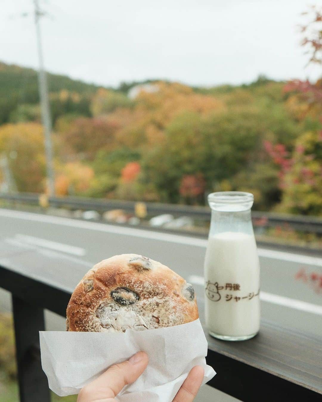 Y U R I Eさんのインスタグラム写真 - (Y U R I EInstagram)「フェアフィールド道の駅ホッピングの旅🚐 📍京丹波 はじめて訪れた京丹波。道の駅に隣接する @fairfieldmichinoeki を拠点に食の旅❗️ 秋の京丹波といえば、丹波黒豆ということだったので、朝の腹ごしらえは黒豆のパン、君に決めた🥯💘 他にもお目当ての大黒本しめじ、黒豆の枝豆、丹波の黒豆ビールもゲット🤣👍 "香り松茸、味しめじ"のしめじはこの大黒本しめじのことなんだって！おおきくてびっくり〜😂🍄　#幻のきのこ 今回拠点にしたフェアフィールドバイマリオットは共有スペースがあって、トースターや珈琲メーカーも自由に使えて朝ごはん食べながら旅のルートを決めるのにもピッタリだった☺︎あと、コインランドリーもあったので長旅する方の休息地にもおすすめです◉ #fairfield#michinoeki#PR#味夢の里#旅の拠点#道の駅めぐり#道の駅好きな人と繋がりたい#フェアフィールド道の駅#フェアフィールドバイマリオット#マリオット#ホテル#道の駅#ステイケーション#車旅#ドライブ#小旅行#週末旅行#国内旅行」11月22日 13時38分 - yuriexx67