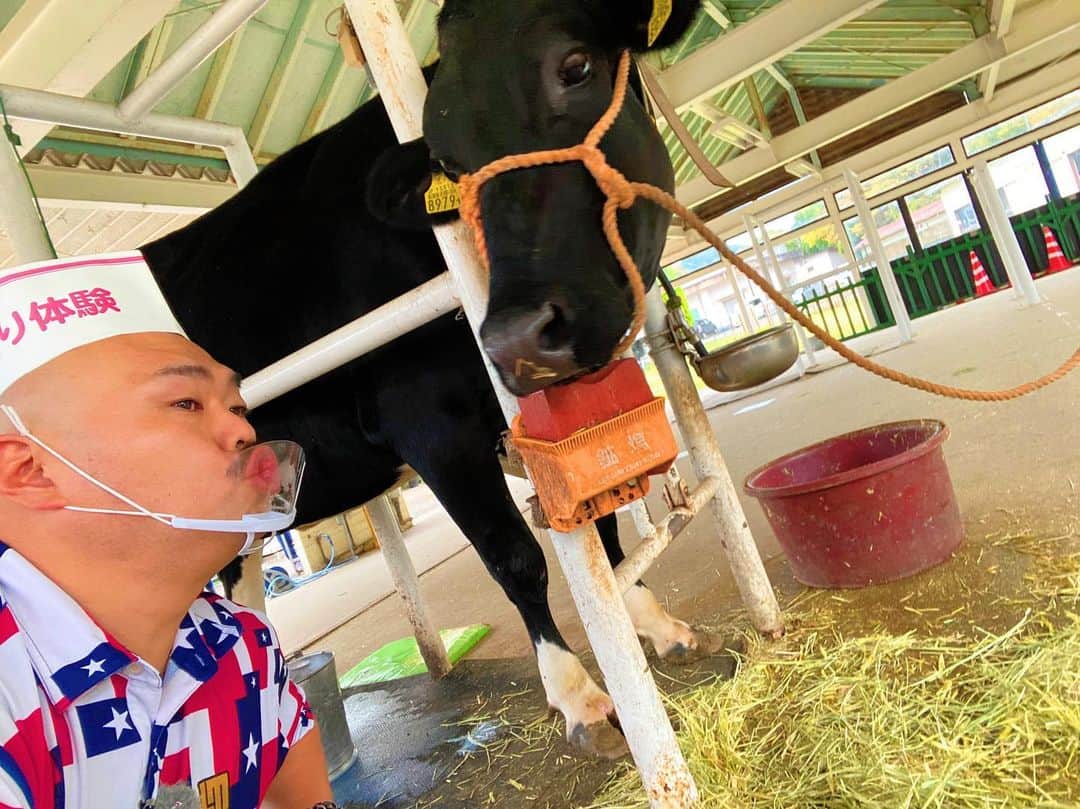 クロちゃんさんのインスタグラム写真 - (クロちゃんInstagram)「牛のチカコちゃんと恋に落ちたしんよー！ チュー♪  #淡路島牧場　#乳搾り体験 #クロちゃん　#牛」11月22日 15時10分 - kurochandesuwawa