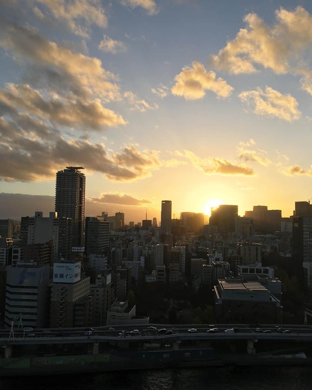 猫沢エミさんのインスタグラム写真 - (猫沢エミInstagram)「仕事がおわったー…ら、日が落ちたー…。  でも今日もがんばった。 それでいいじゃない。  イオちゃんは、落ち着いています😌  #東京下町時間　#平和と平凡と幸福について」11月22日 16時13分 - necozawaemi