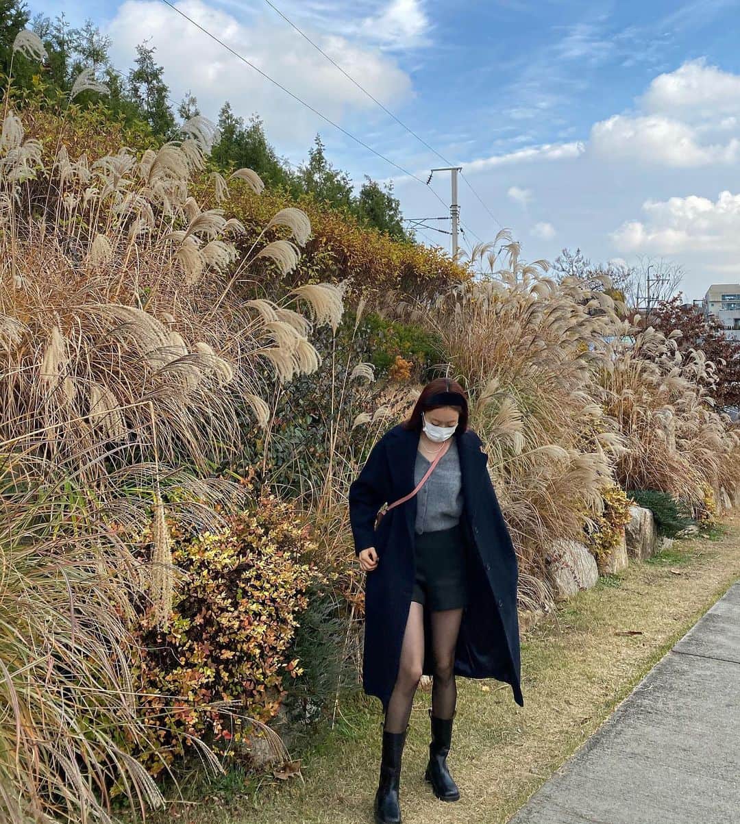 ギョンリ さんのインスタグラム写真 - (ギョンリ Instagram)「비온 뒤💙」11月22日 16時27分 - gyeongree