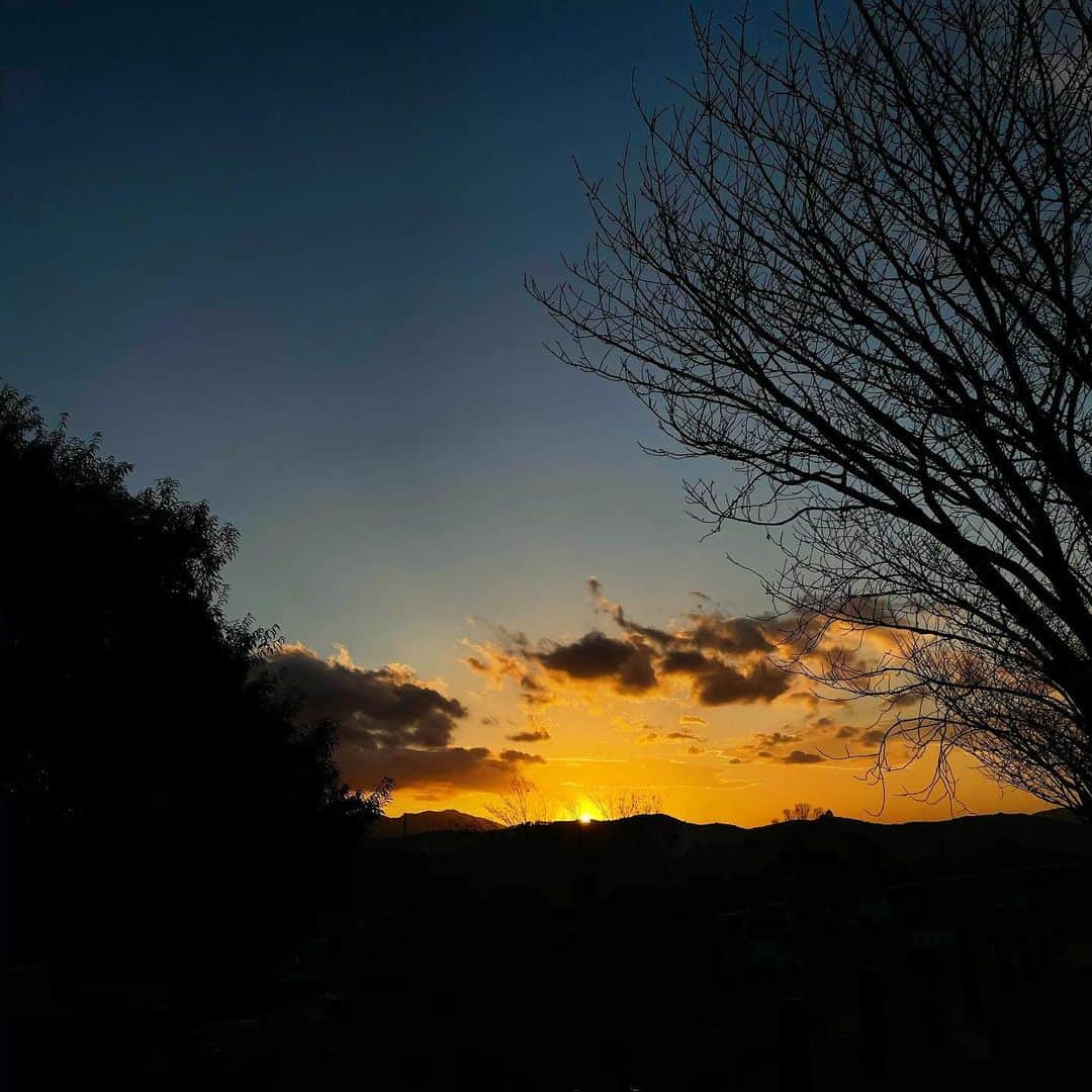 坂元美香さんのインスタグラム写真 - (坂元美香Instagram)「sunset 2020/11/22 @笠間  陽が落ちるのだいぶ早くなったね。  #sunsetphotobymikasakamoto #sunset #夕日 #夕陽」11月22日 16時52分 - mika_saka