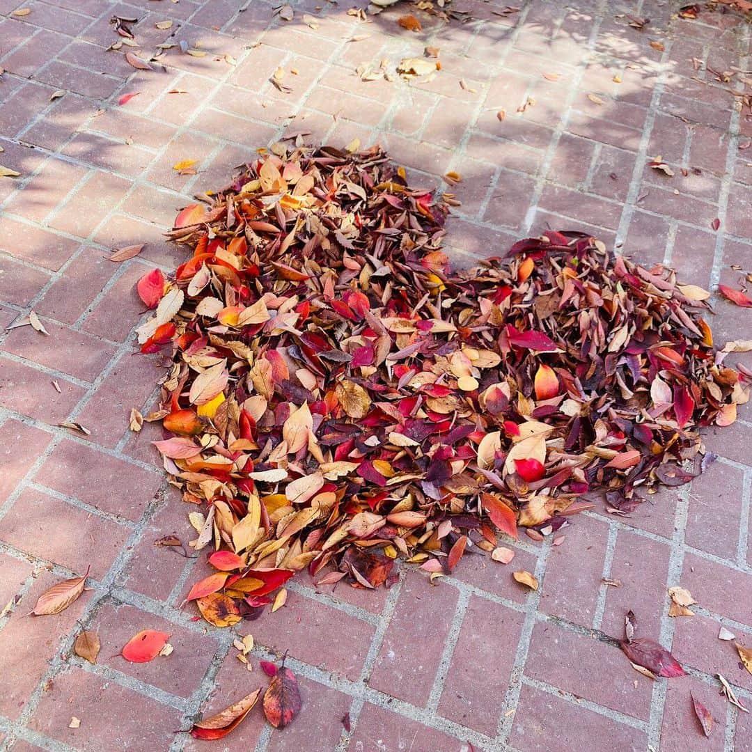 堀口日萌さんのインスタグラム写真 - (堀口日萌Instagram)「. 葉っぱ葉っぱ②🍁🍁  紅葉っていつも気づいたらまっちゃっちゃになっておわってるからさ 今年は楽しもうと思って！ ハート作ってハート作って秋満喫しきった❤️❤️ 焼き芋焼いたりしてみたいけどスーパーで買うことにする🍠☁️  #紅葉#autumn#autumnvibes#heart」11月22日 17時18分 - himechannel_0624