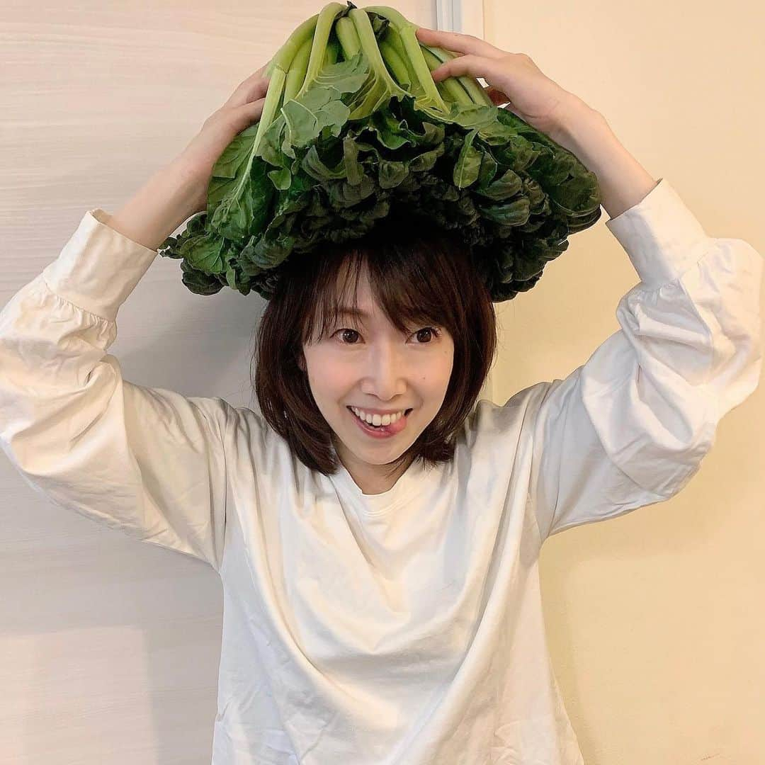 池辺愛さんのインスタグラム写真 - (池辺愛Instagram)「かぶりものを頂きました😝  かぶりものは心が落ち着く☺️笑  コレ、知ってる？？？  #かぶりもの」11月22日 17時19分 - aiikebe