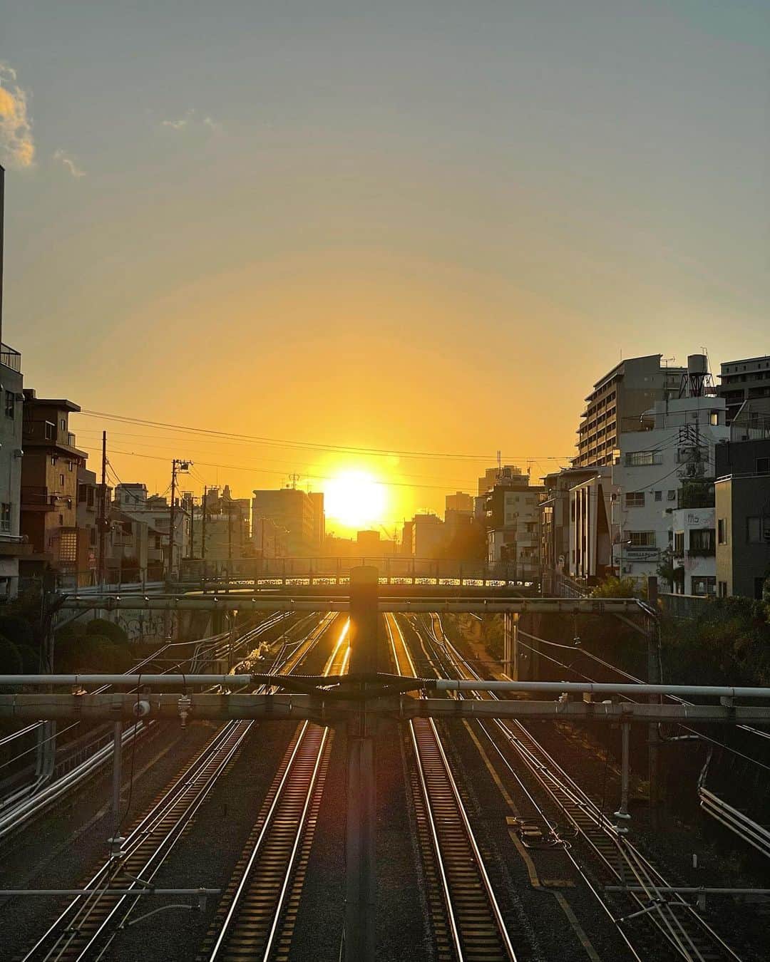 西田善太のインスタグラム：「真っ直ぐに。 #iPhone12pro」
