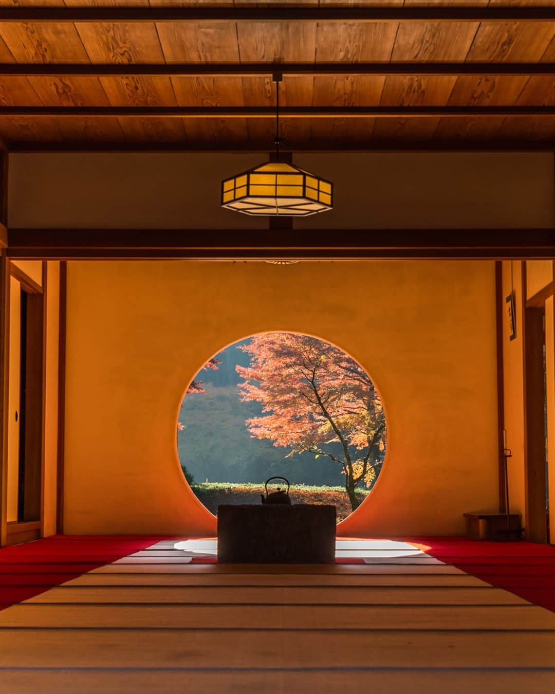 楽天トラベル さんのインスタグラム写真 - (楽天トラベル Instagram)「こんにちは😊 今日は鎌倉の紅葉の名所をご紹介します✨ *こちらは過去のお写真です ーーーーーーーーーーーーーー 📍#明月院 （神奈川県鎌倉市） ーーーーーーーーーーーーーー 紫陽花寺とも呼ばれあじさいの名所として有名な鎌倉の明月院。 秋は紅葉も美しく、境内の道が細いためまるで紅葉に包まれているような感覚が味わえます。本堂に設けられた丸窓「悟りの窓」から覗く庭園はまるで絵画のような美しさ。 紅葉の見頃は11月下旬～12月中旬頃です。 ーーーーーーーーーーーーーー  📌ご旅行やおでかけの際は、事前にお住まいの地域や旅行先の情報を確認しご計画をお願いいたします ーーーーーーーーーーーーーー 旅先で出会った美しい風景や素敵な旅館などを  #rakutentravel を付けてぜひシェアしてください😊 このアカウントでご紹介させていただきます💗 ーーーーーーーーーーーーーー  #楽天トラベル #旅行好きな人と繋がりたい #旅したくなるフォト #旅行 #国内旅行 #旅行好き #旅行好きと繋がりたい #写真好きな人と繋がりたい #旅好き女子 #旅行好き女子 #travel #trip #japan #たびすたぐらむ #日本の景色 #お出かけスポット #お出かけ #絶景 #鎌倉 #鎌倉観光 #紅葉 #鎌倉散策 #神社仏閣 #悟りの窓 #丸窓」11月22日 18時00分 - rakutentravel